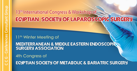 13 International Congress & Workshop of Egyptian Society of Laparoscopic Surgery