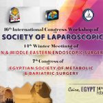 16th International Congress Workshop of Egyptian Society of Laparoscopic Surgery - ESLS