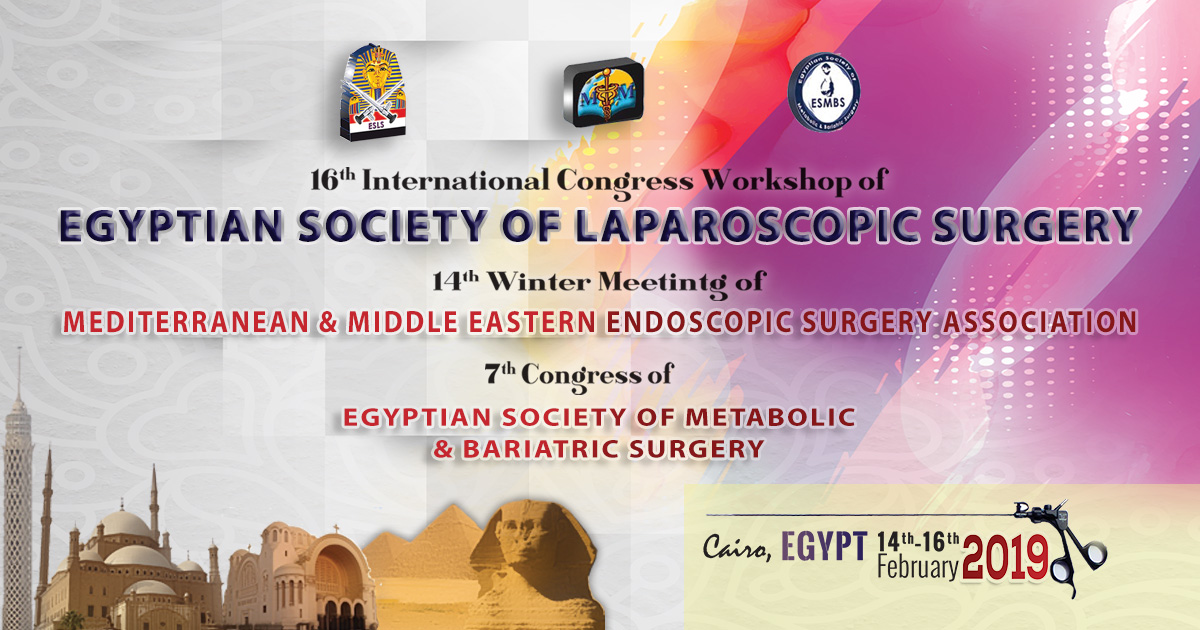 16th International Congress Workshop of Egyptian Society of Laparoscopic Surgery - ESLS